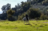 Horse Riding Trikala Korinthias3